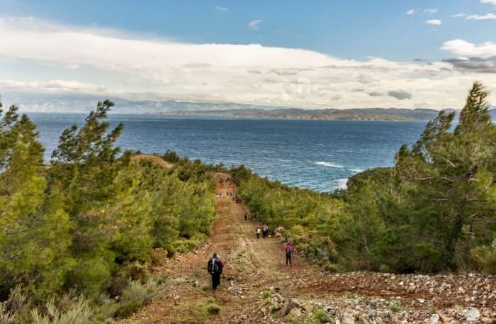 Carrion Trail in Türkiye