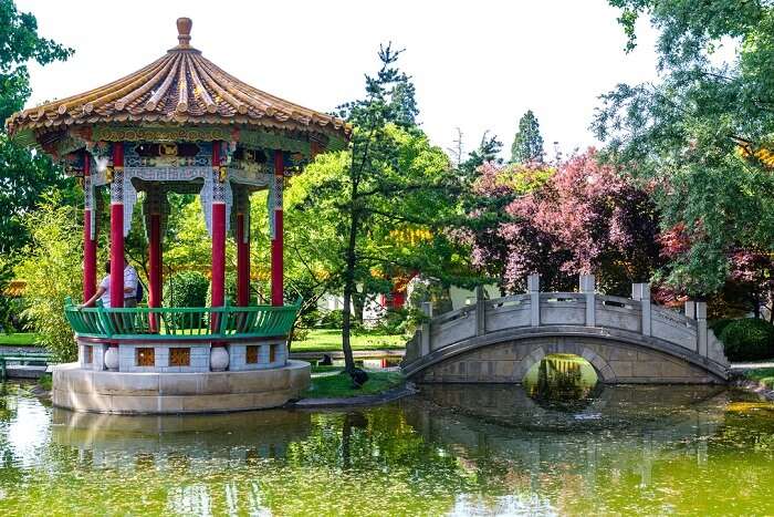 Chinese Garden