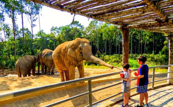 Top 10 Largest Zoos In The World That Are A Must Visit!