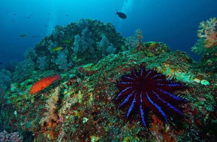 Serene Waters Of Mergui Archipelago