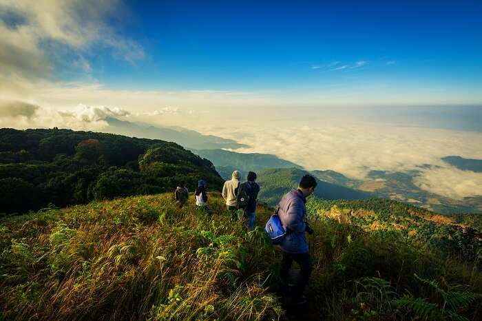 Doi inthanon trekking