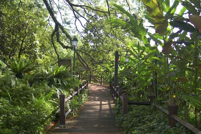 Uphill Fort canning park