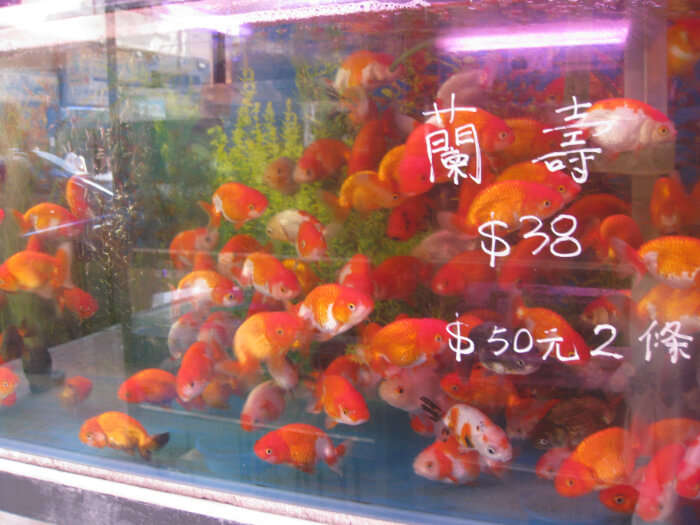 stalls selling fishes