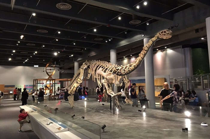 Hong Kong Science Museum