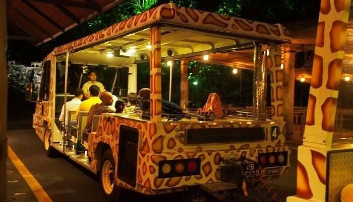 How To Get To Bali Safari Park