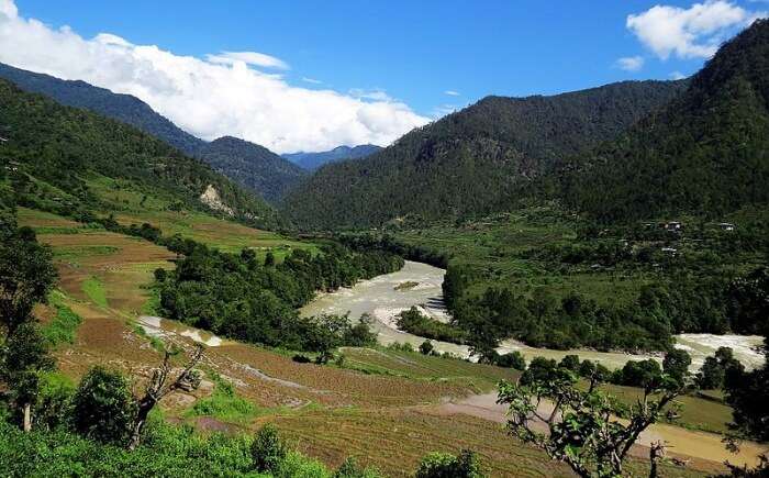 How To Reach Jigme Dorji National Park
