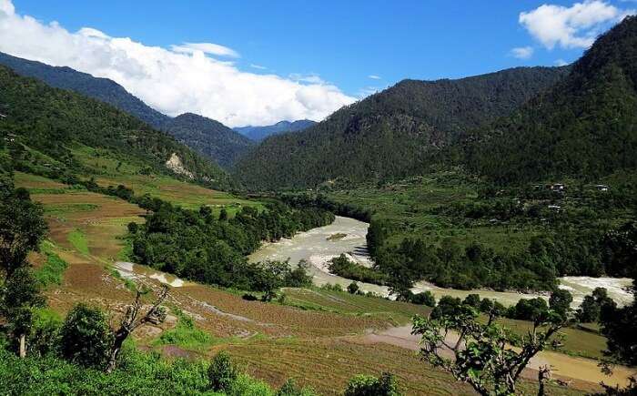 How to reach Jigme Dorji National Park?