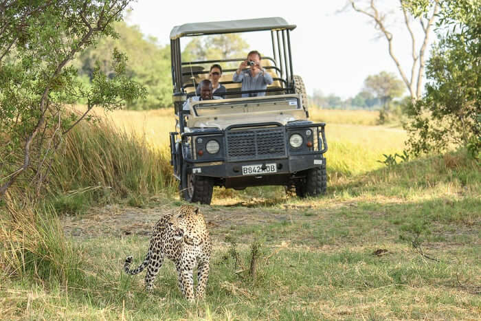 jeep and jaguar