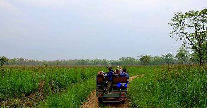 Jeep drive inside the park