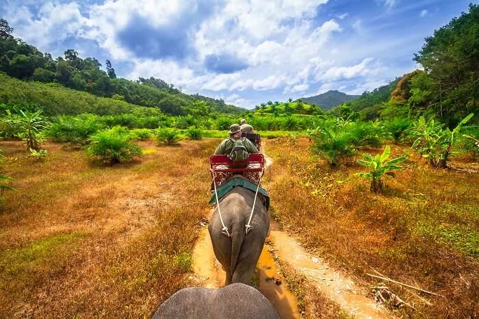 Khao Sok trekking