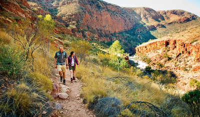 10 Best Hiking Trails in Australia: Breathtaking Hiking Trails Waiting to  be Explored