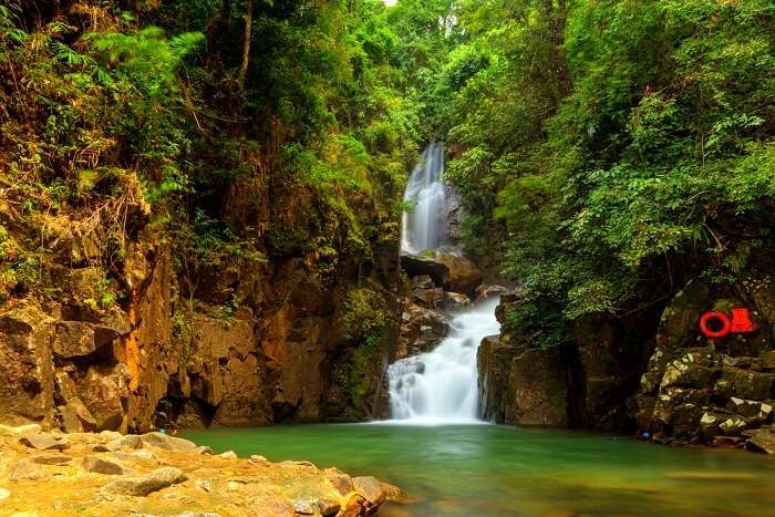 gorgeous waterfall, nature trails