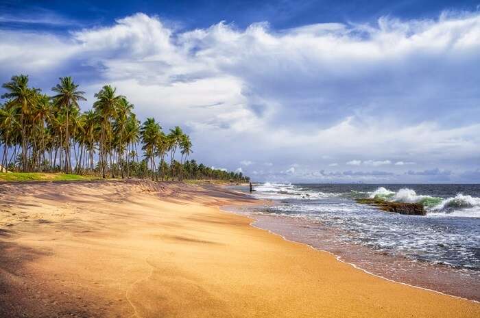 Negombo Beach