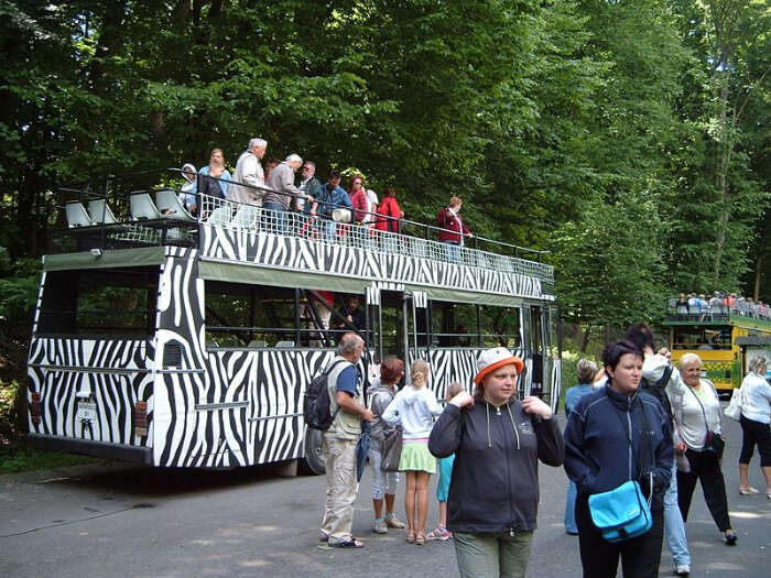tourist bus