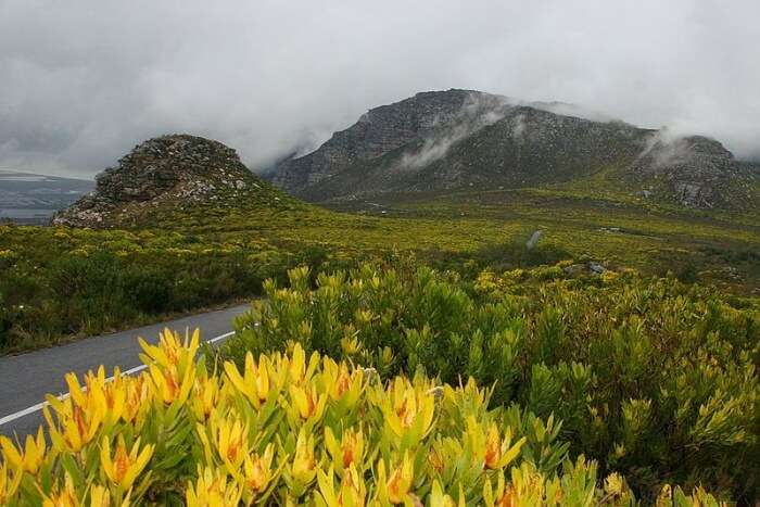 Silvermine Nature Reserve