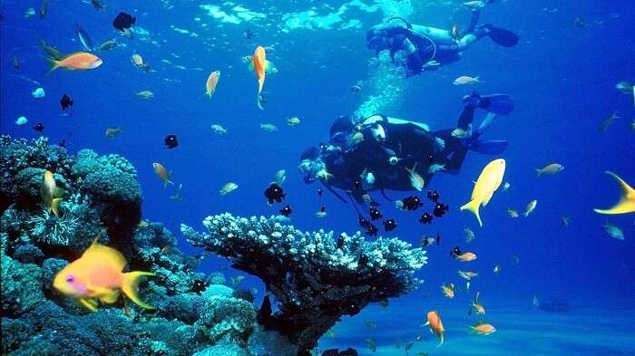 Snorkeling In Pasikudah