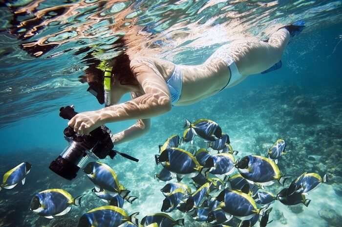 Snorkeling in Mirissa