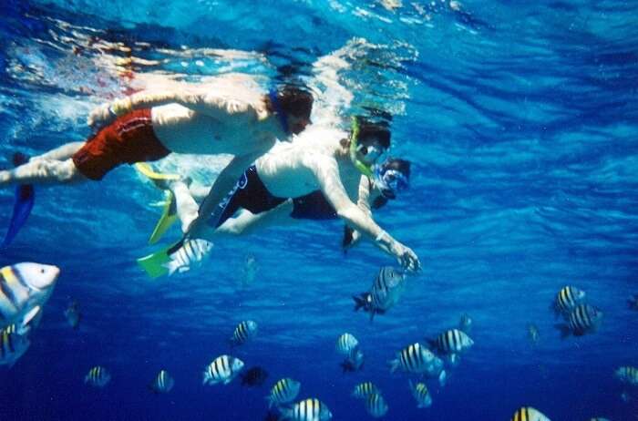 Snorkeling