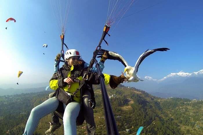 Tandem Paragliding