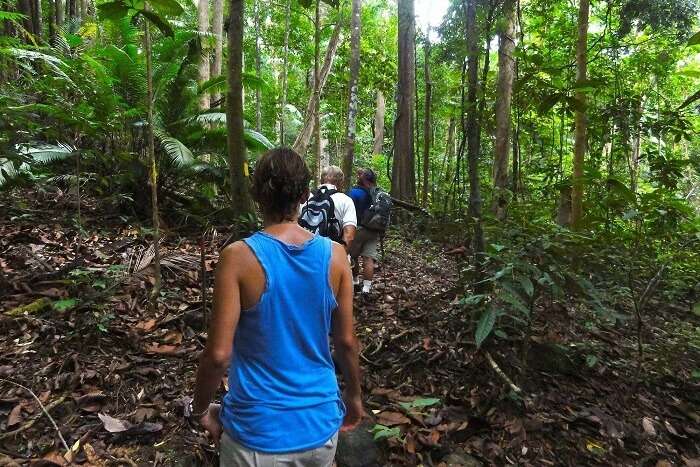 Tanjung Datu National Park