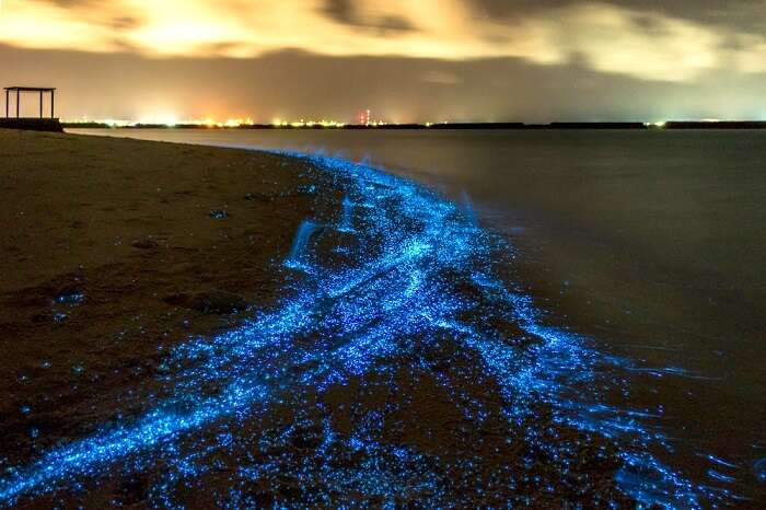 The Bioluminescent Beach must not be missed