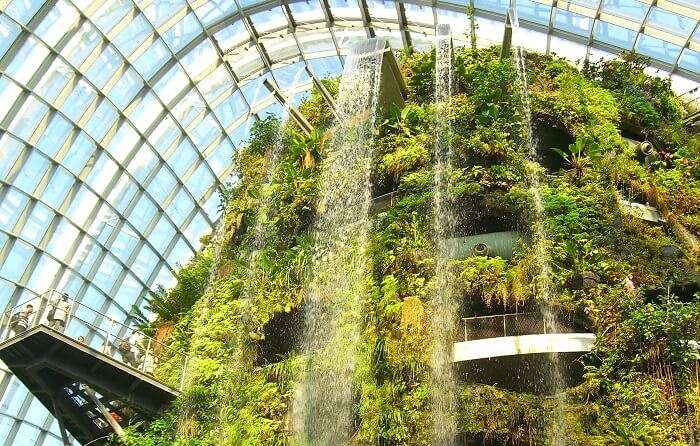 Cloud Forest Gardens