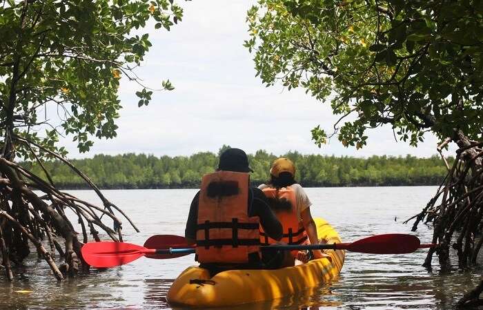 Thung Yee Pheng Mangrove Forest