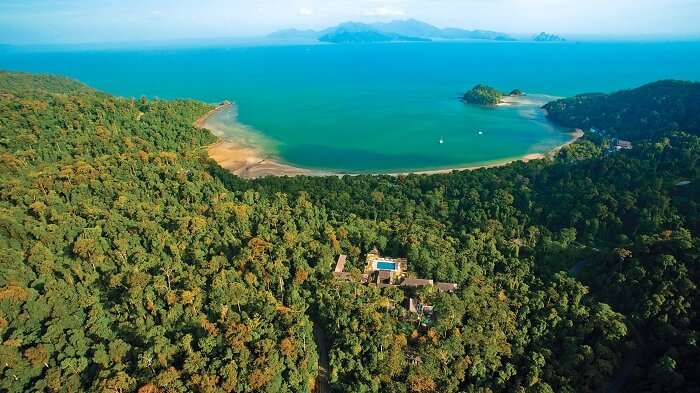 rain forest in malaysia