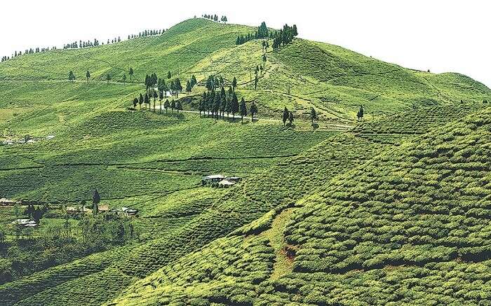 natural beauty in Nepal