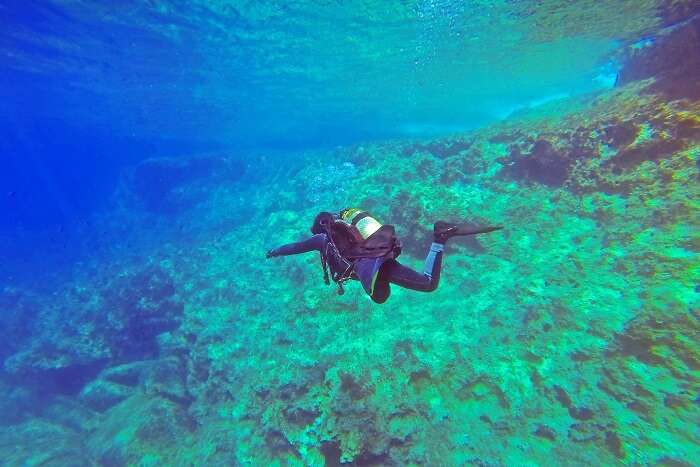 Scuba diver in the ocean image in Nature and Landscapes category at pixy.org