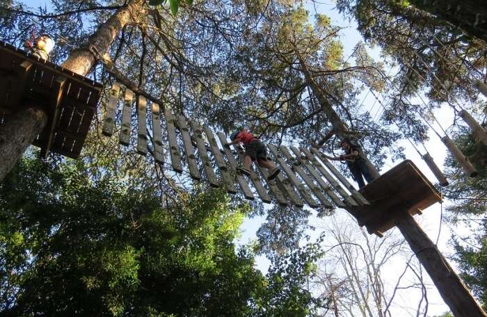 canopy-tours