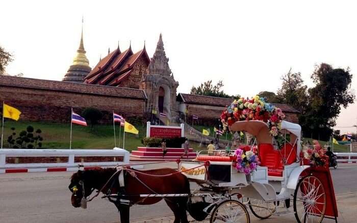 horse ride Thailand