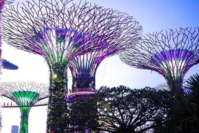 garden by the bay