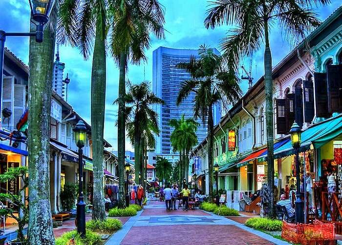 street view market with tall trees