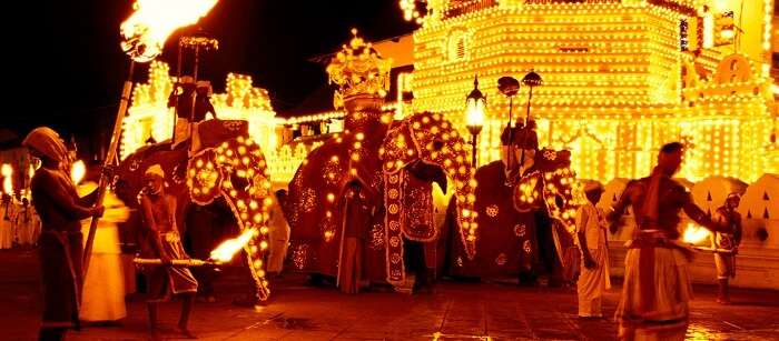 beautifully decorated building and elephants