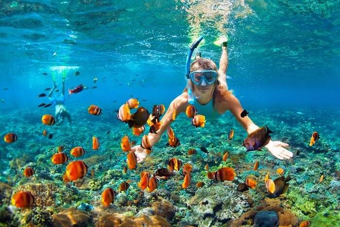 mexico snorkeling