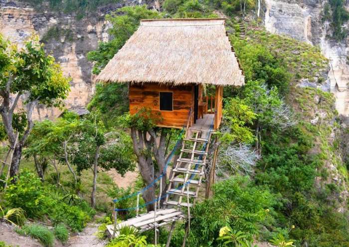 rumah pohon tree house