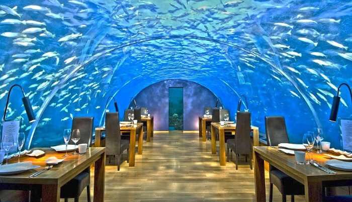 Ithaa Undersea Restaurant