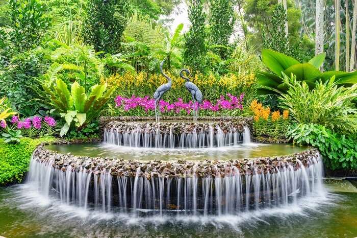 Gardens Of Singapore