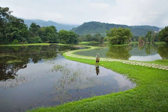 Taiping Lake Gardens