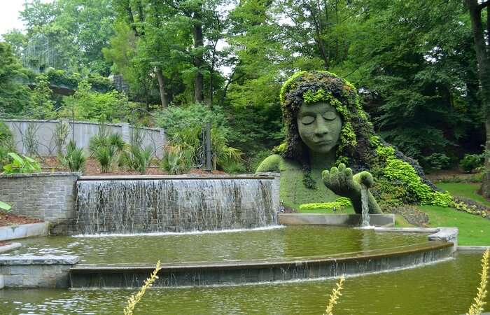 Beautiful Botanical Garden