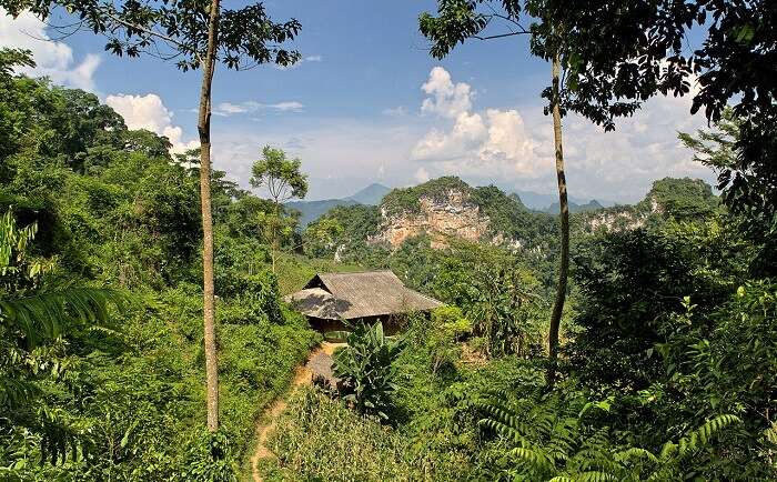 Dense rainforests, deep valleys,