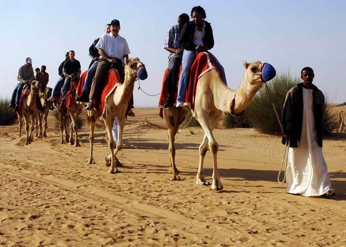 camel Ride