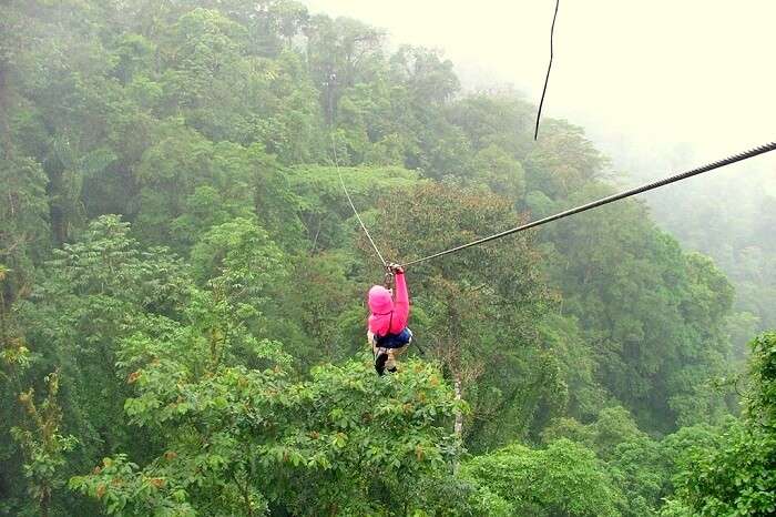 Canopy tour