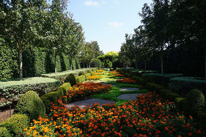 Dallas Arboretum & Botanical Gardens