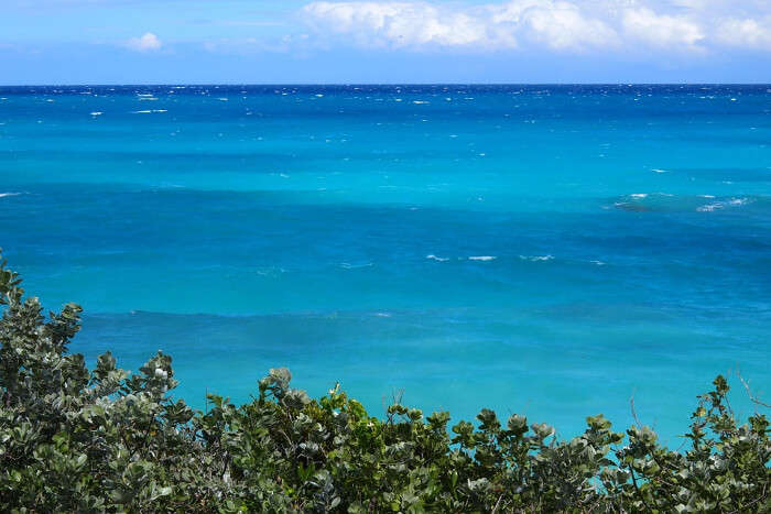 Exuma Cays Land and Sea Park