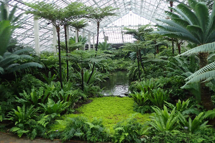 Garfield Park Conservatory in Chicago