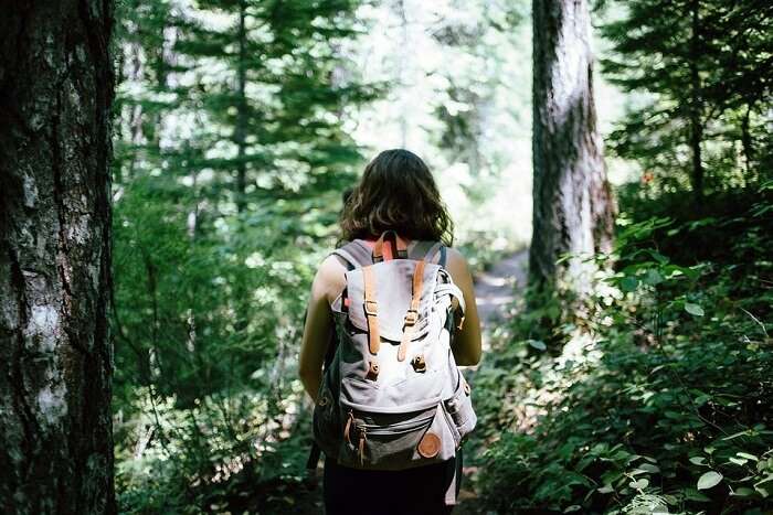 Guided walk through the forest