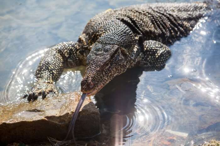 Hikkaduwa National Park