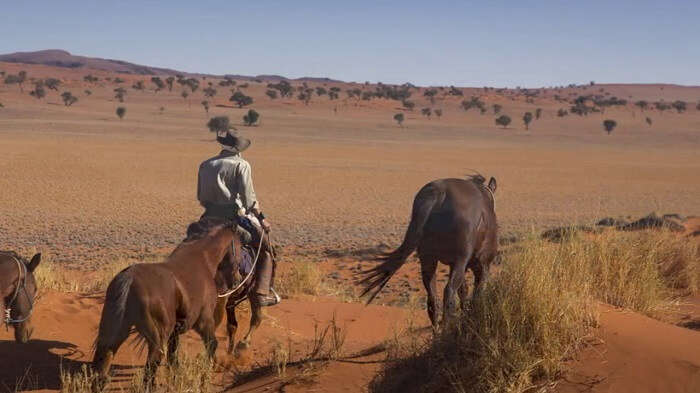 Horse Safari